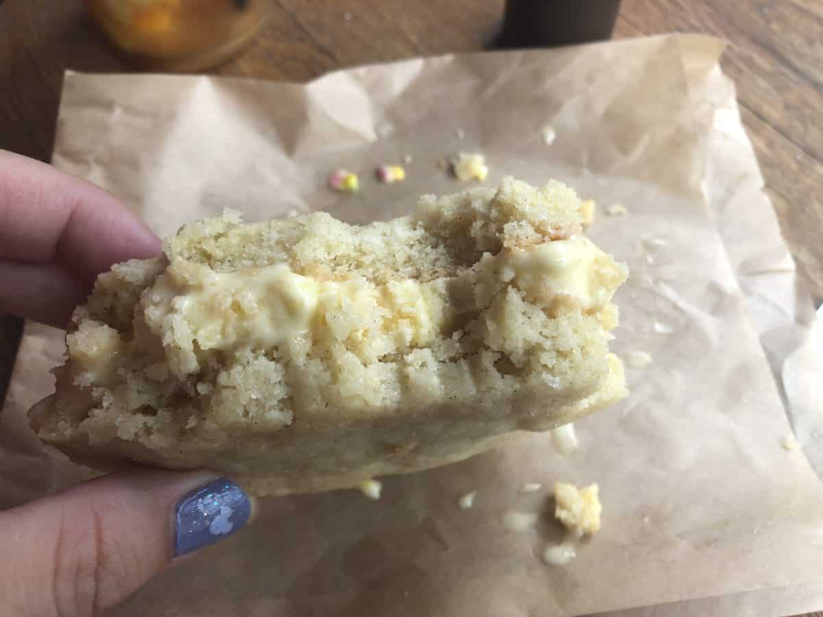 sugar cookie with frozcato ice cream