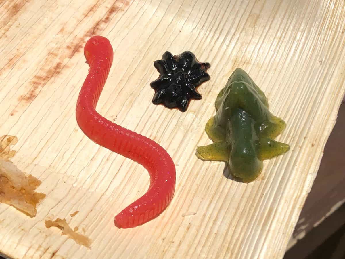 Tomato worm, basil grashopper, balsamic vinegar spider