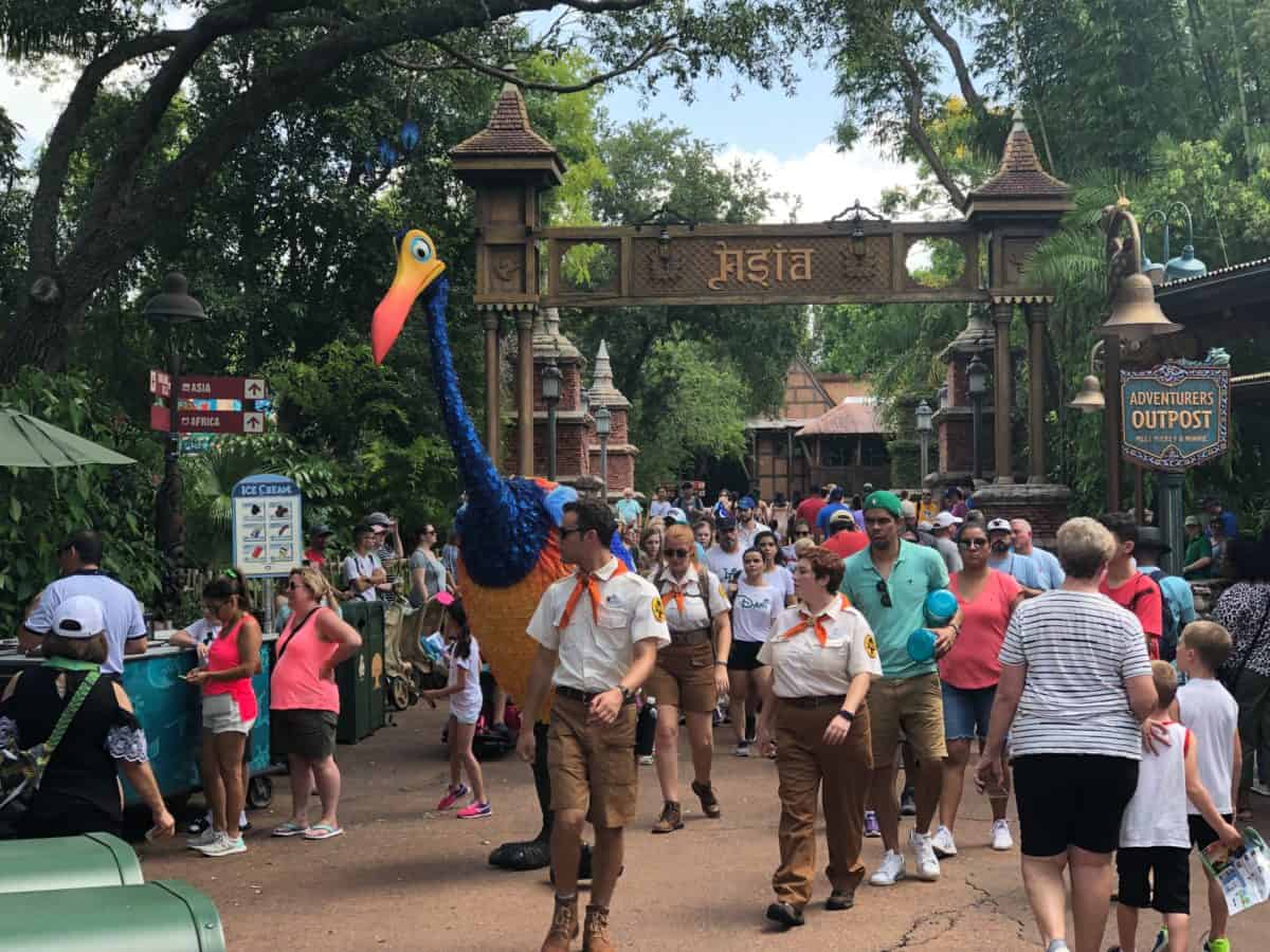 Kevin from Up 
