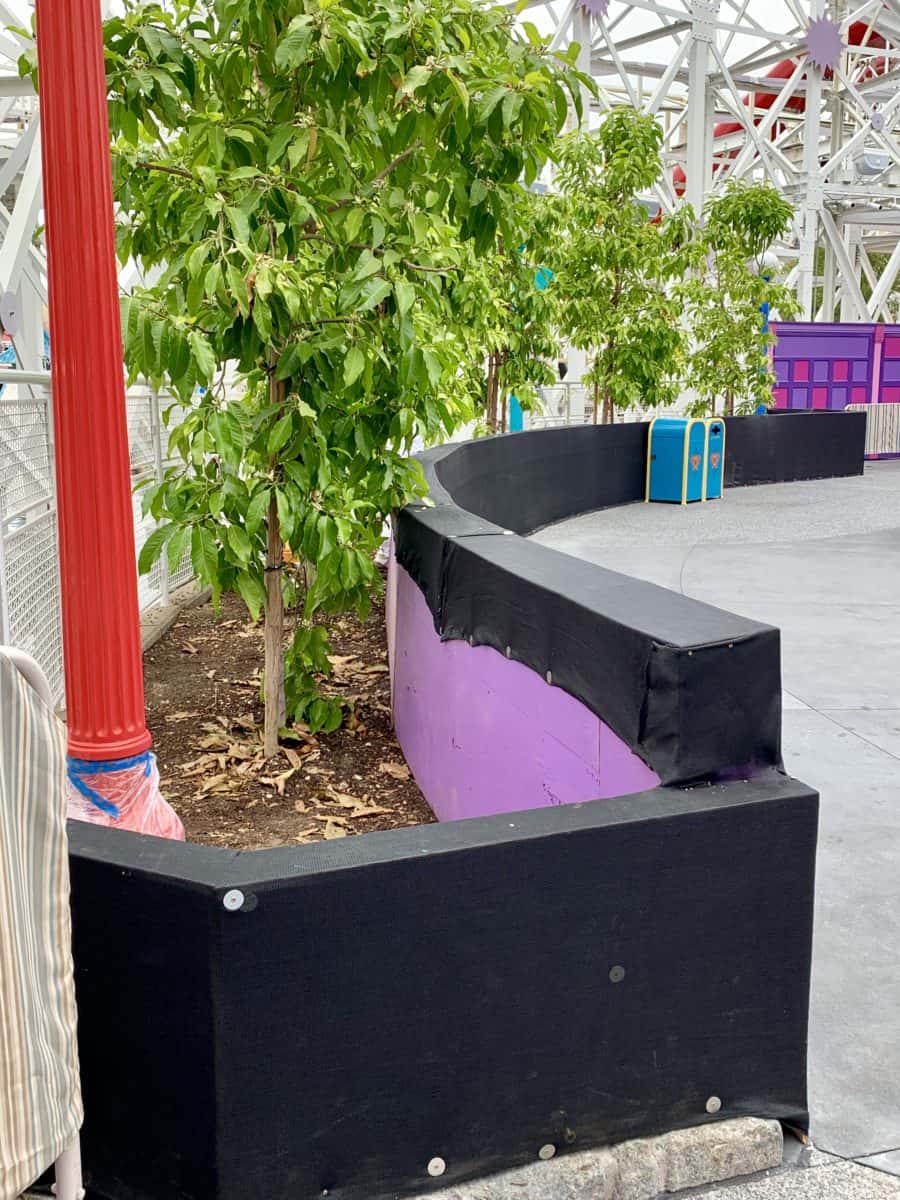 Disney California Adventure Photo Report June 17 2019