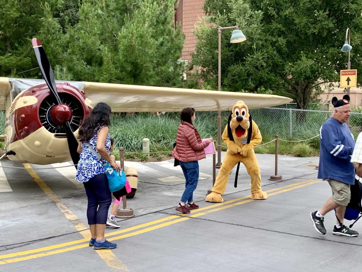 Disney California Adventure Photo Report June 17 2019