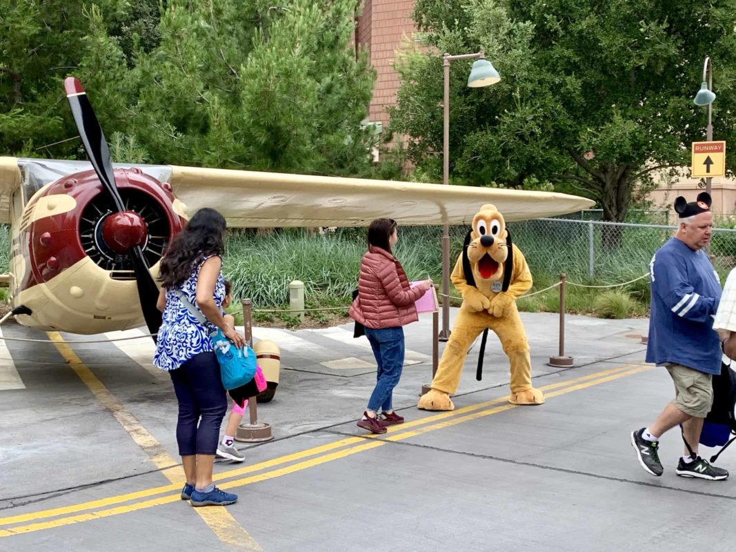 Disney California Adventure Photo Report June 17 2019
