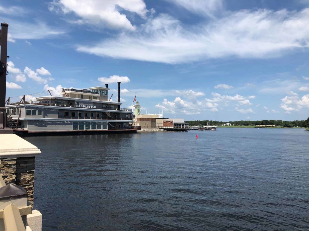 Paddlefish