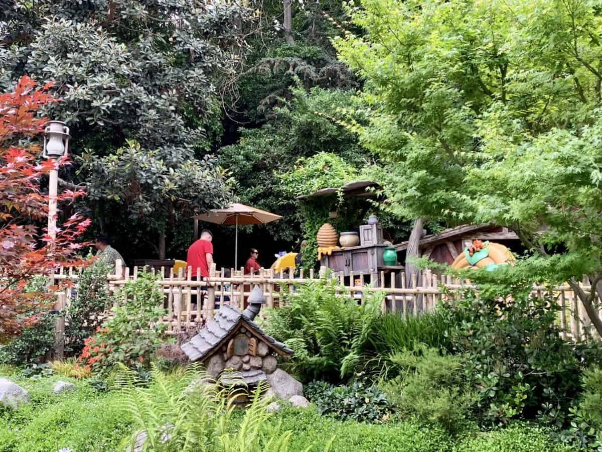 Disneyland Park Photo Report June 11 2019