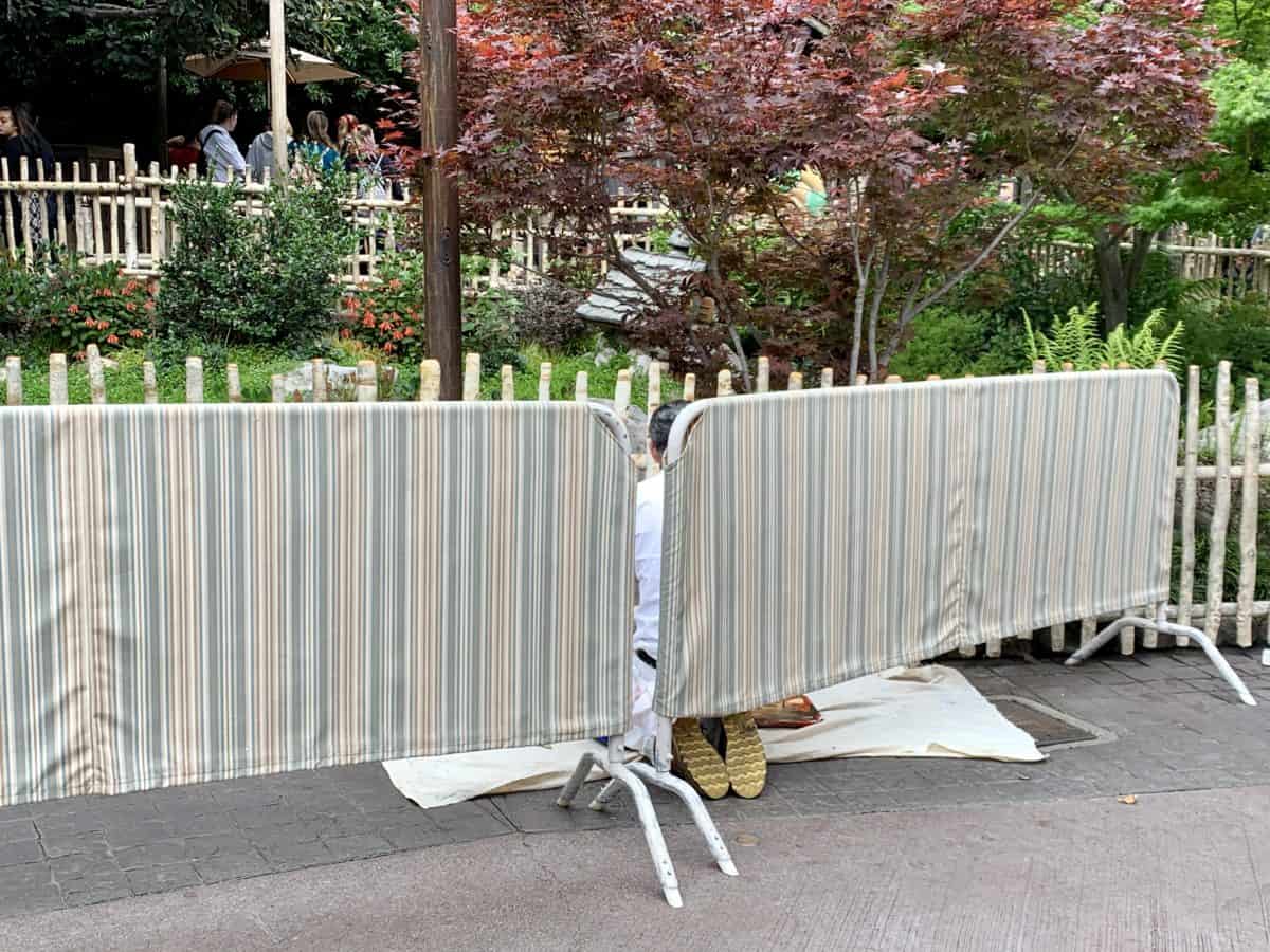 Disneyland Park Photo Report June 11 2019
