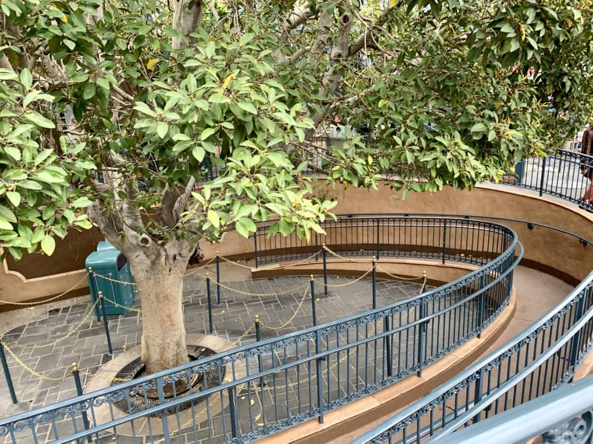 Disneyland Park Photo Report June 26 2019