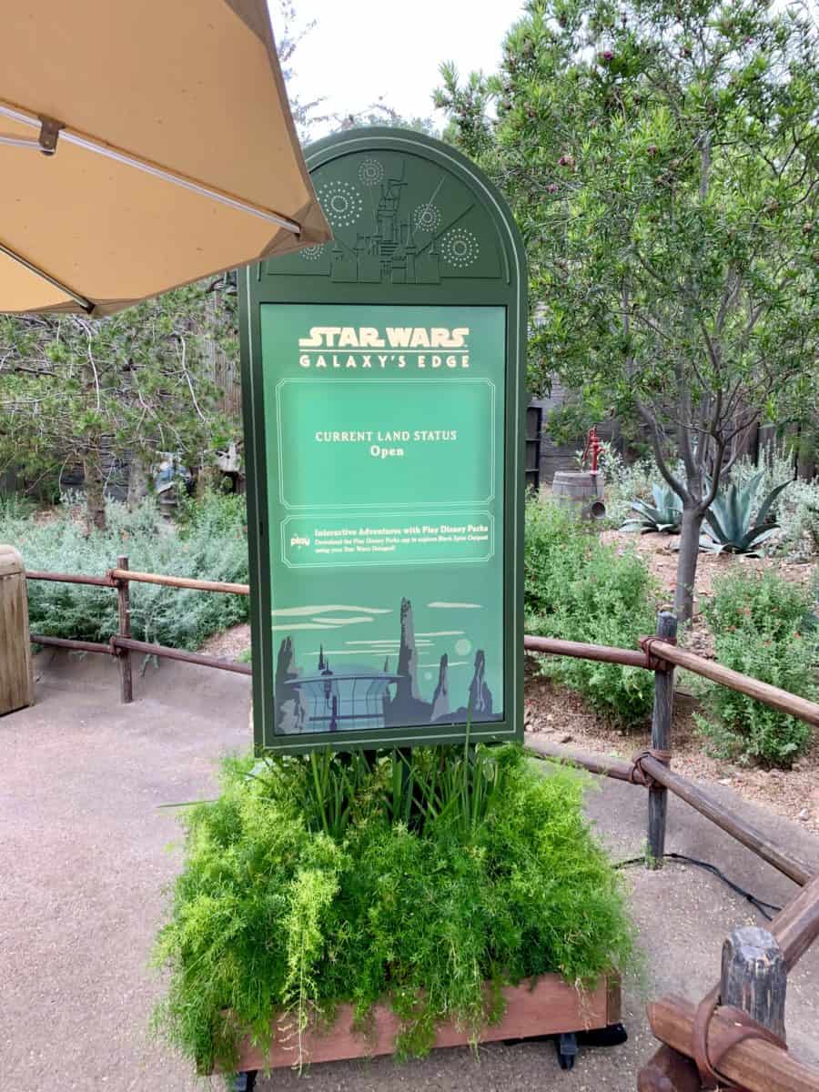 Disneyland Park Photo Report June 26 2019