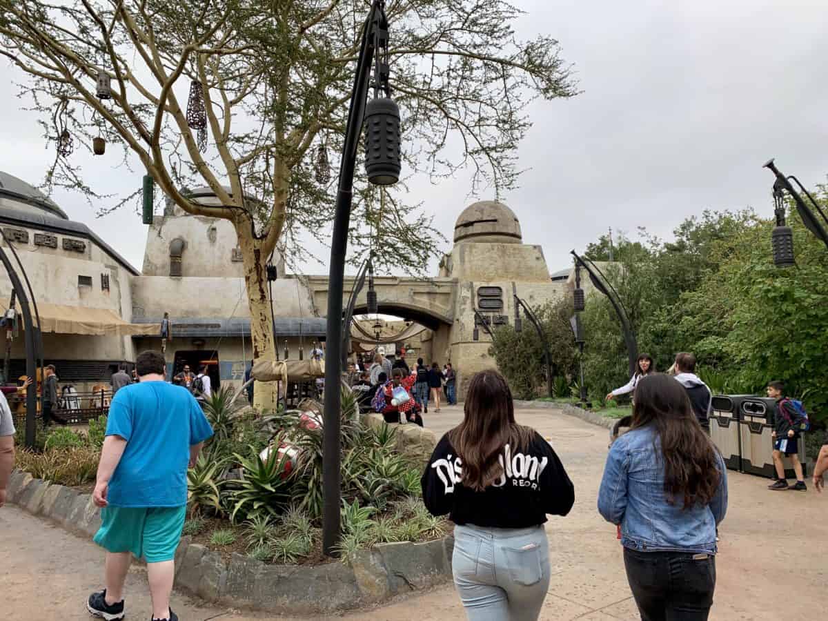 Disneyland Park Photo Report June 26 2019