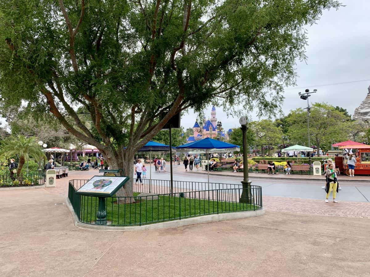 Disneyland Park Photo Report May 31