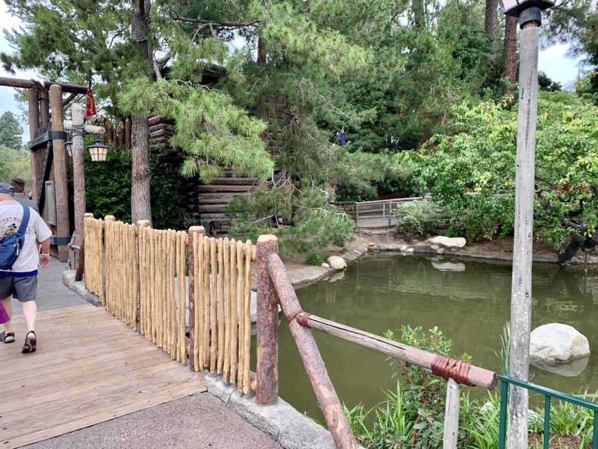Disneyland Park Photo Report May 31