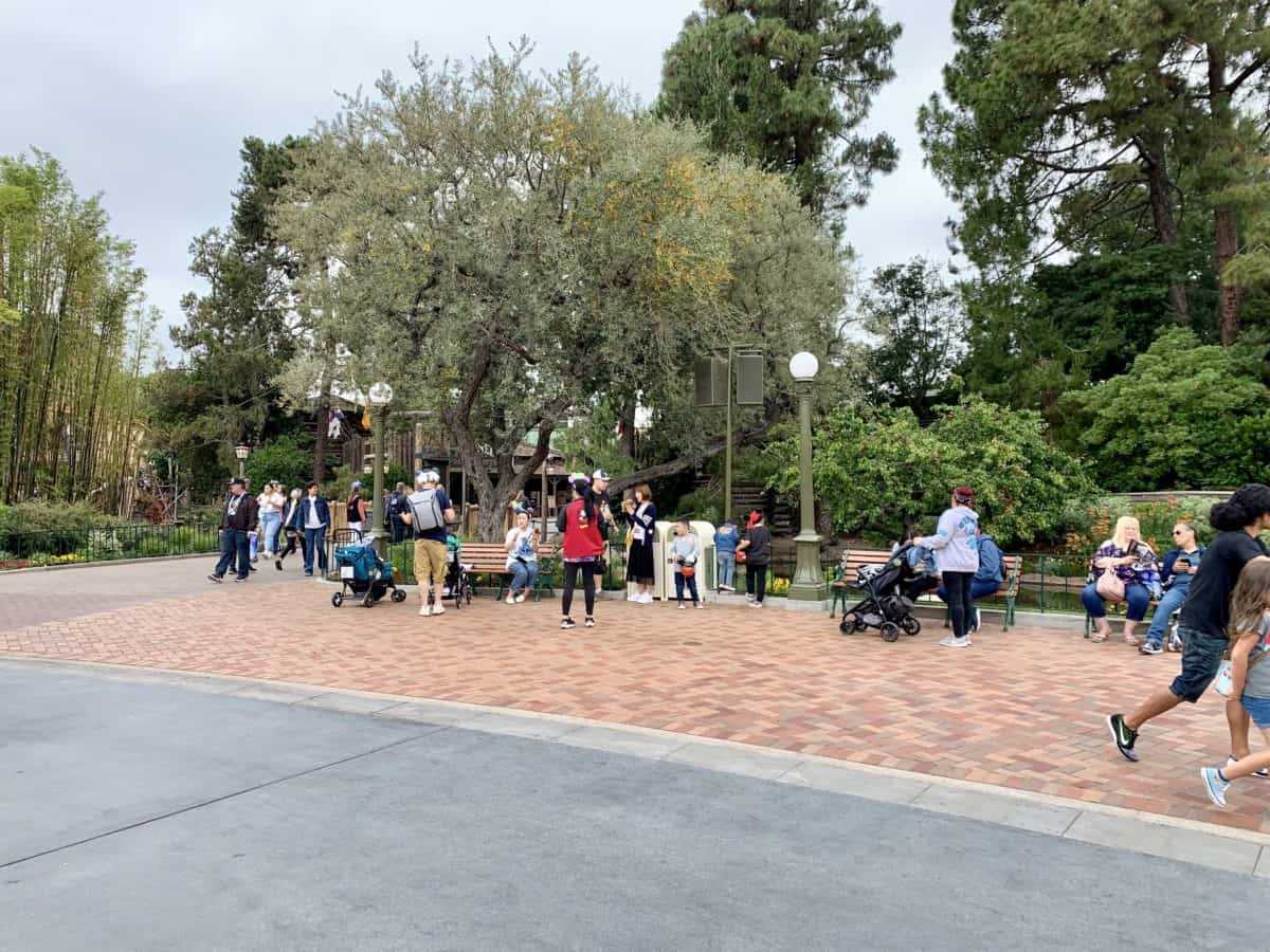 Disneyland Park Photo Report May 31