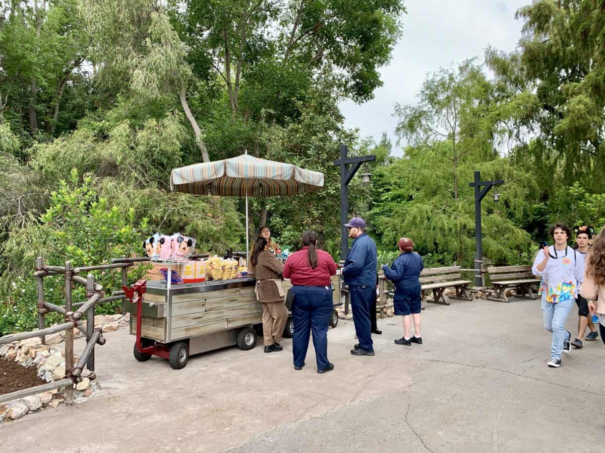 Disneyland Park Photo Report May 31