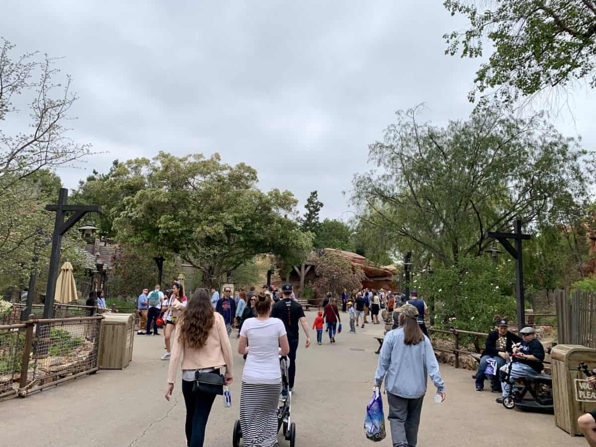 Disneyland Park Photo Report May 31