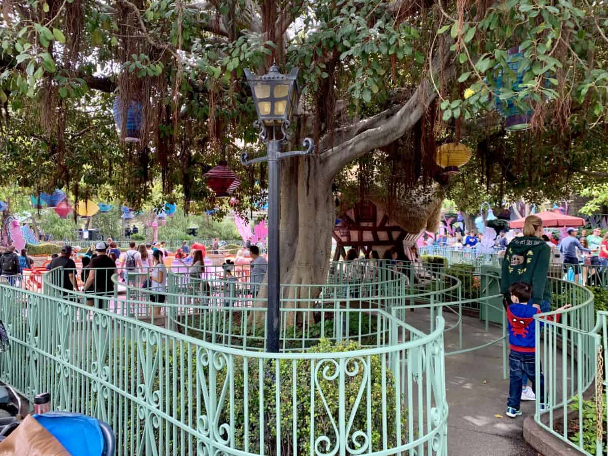 Disneyland Park Photo Report May 31