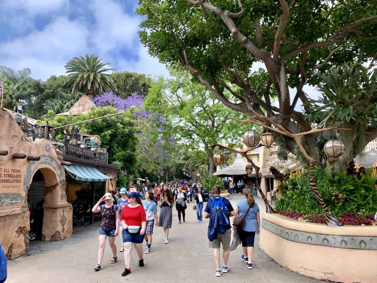 Disneyland Park Photo Report May 31