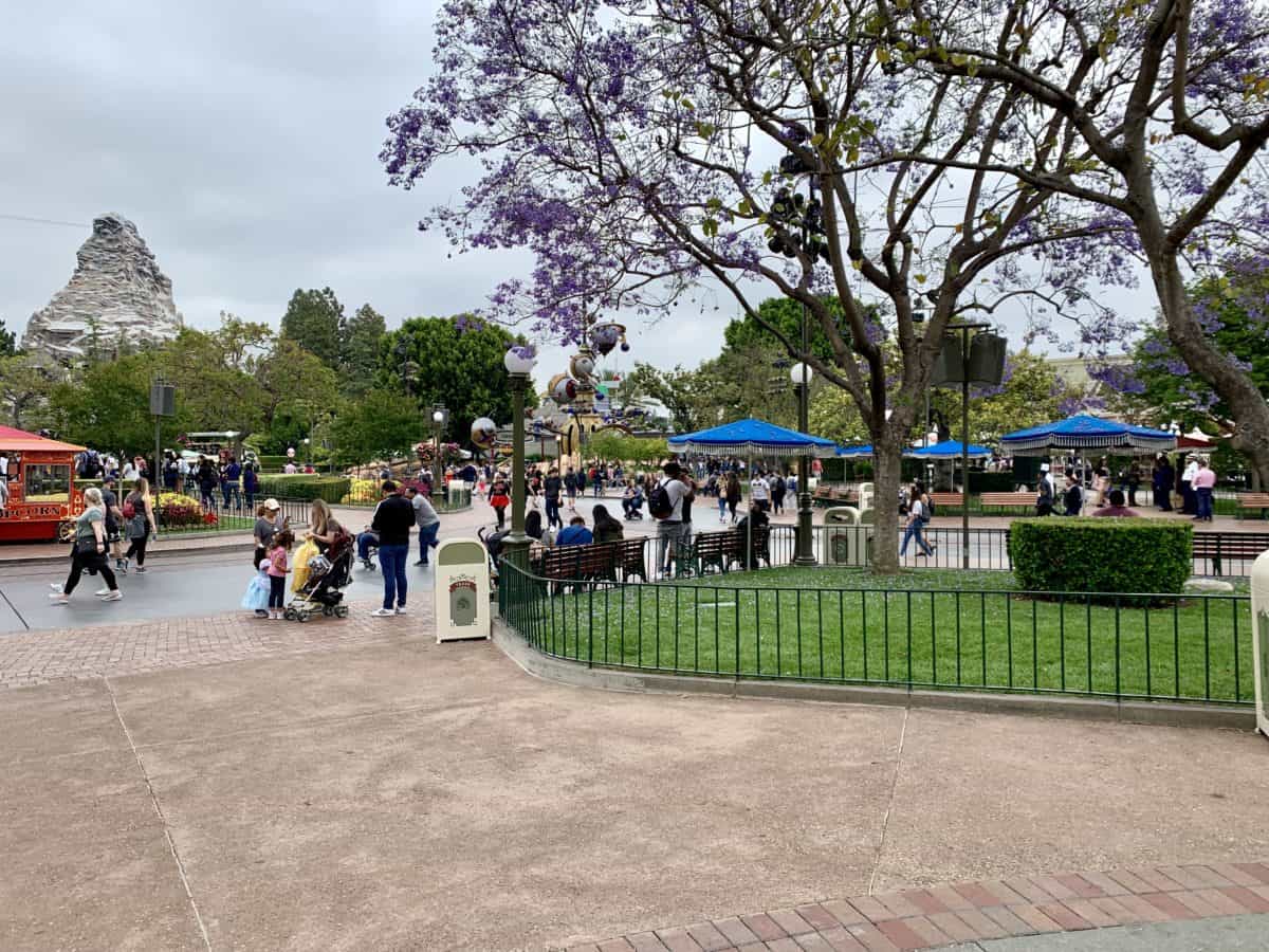 Disneyland Park Photo Report May 31