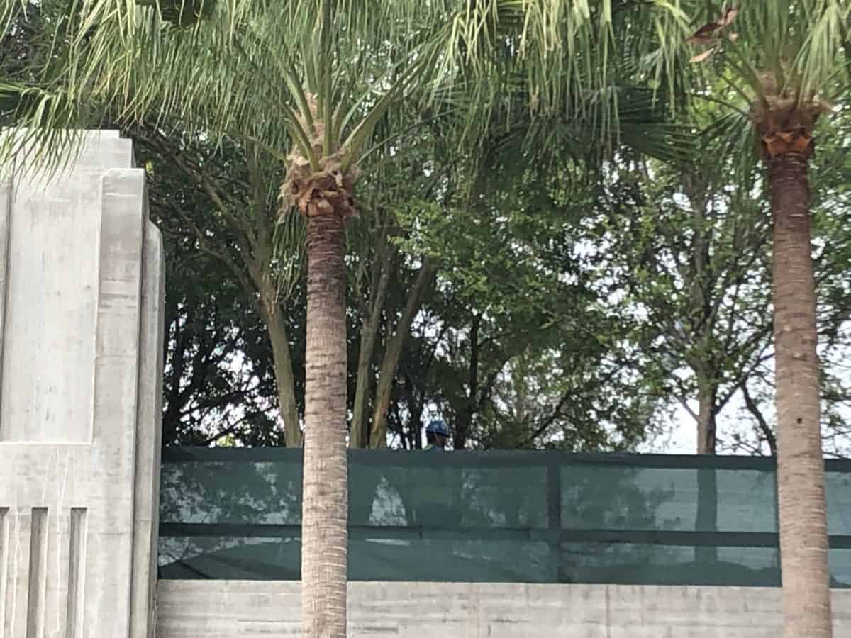 a person visible over the wall at Galaxy's Edge.