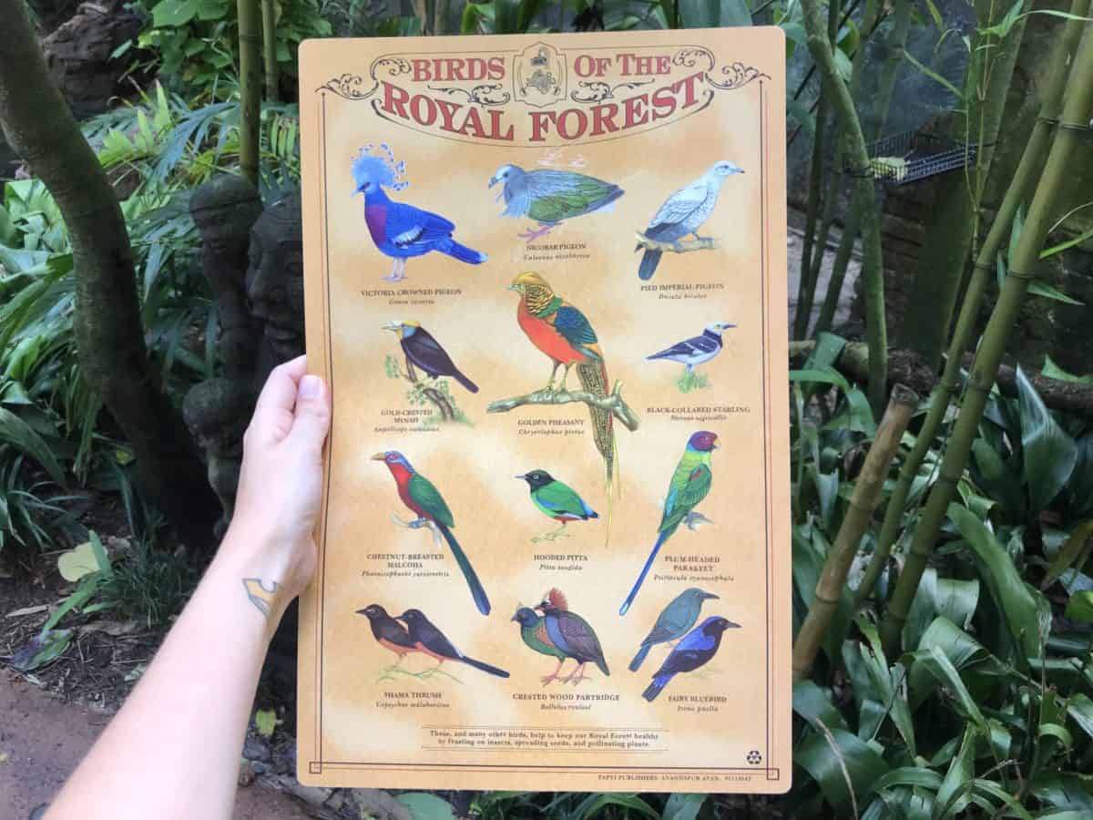 maharajah jungle trek
