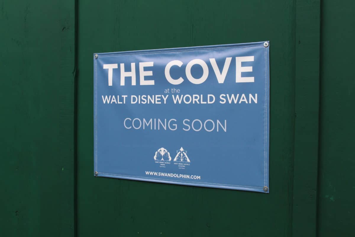 the cove swan and dolphin