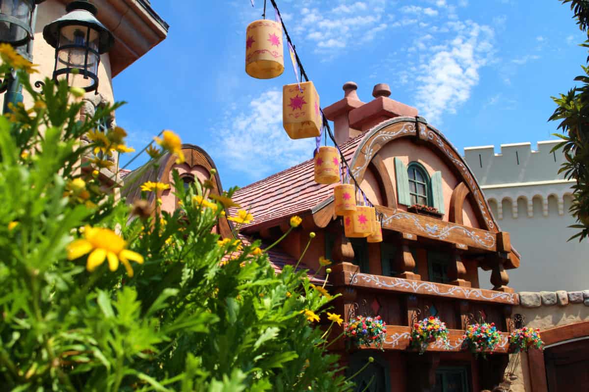 tangled toilets