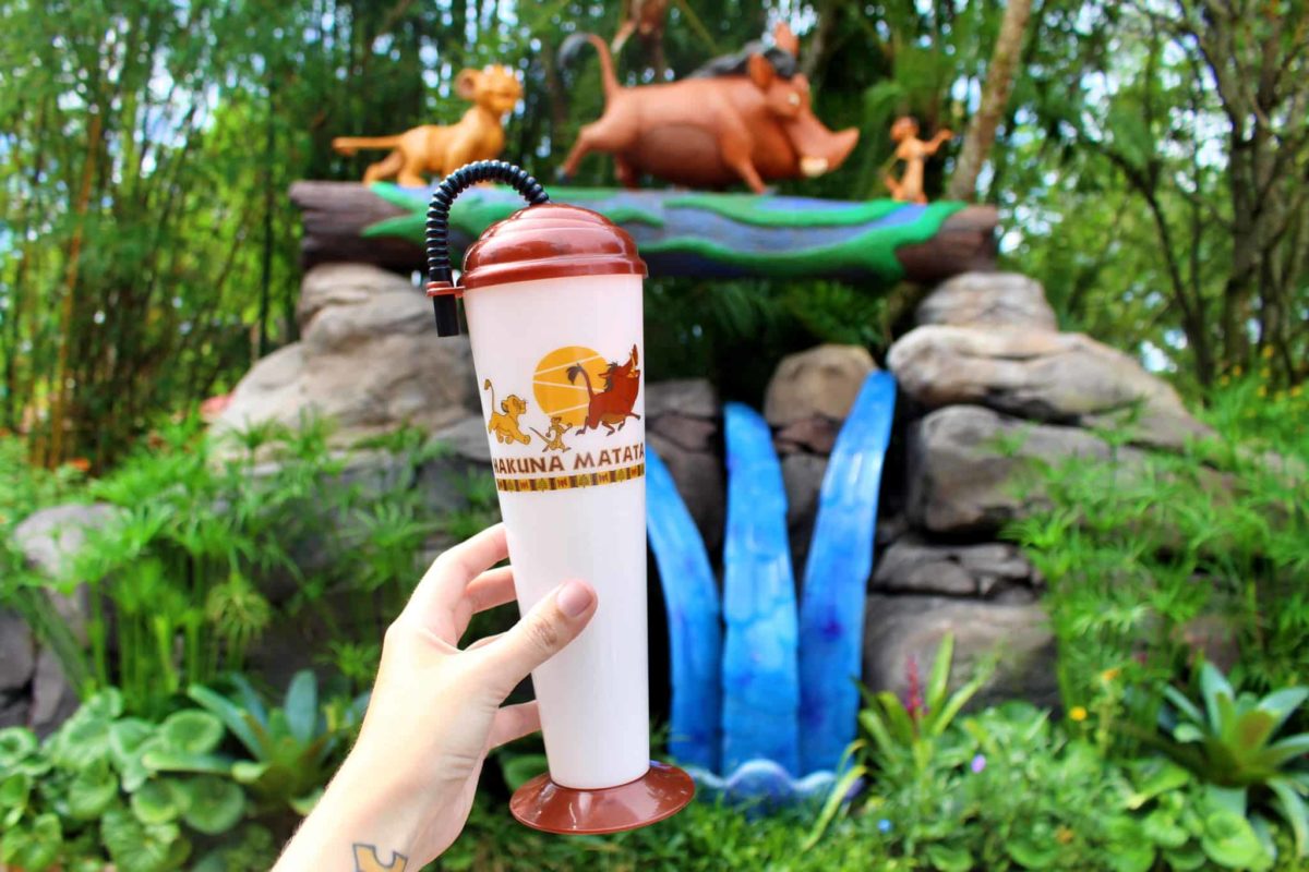 lion king sipper