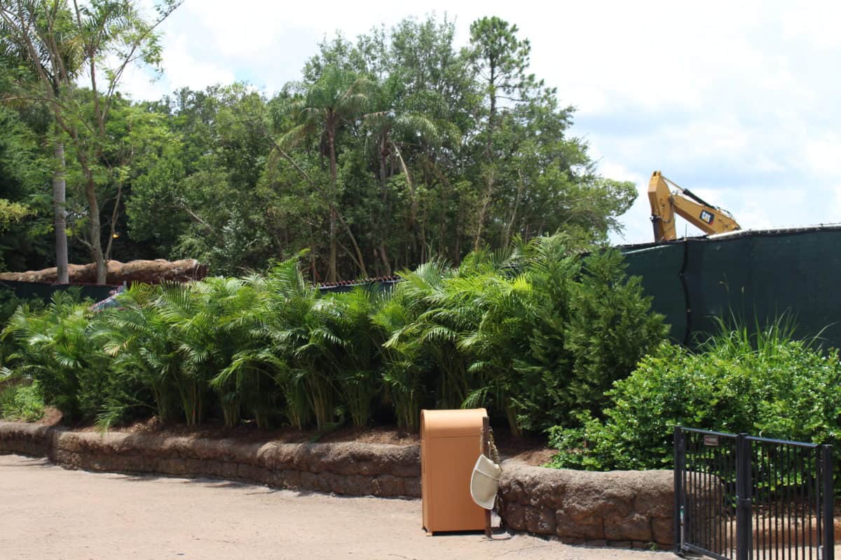 animal kingdom club 33