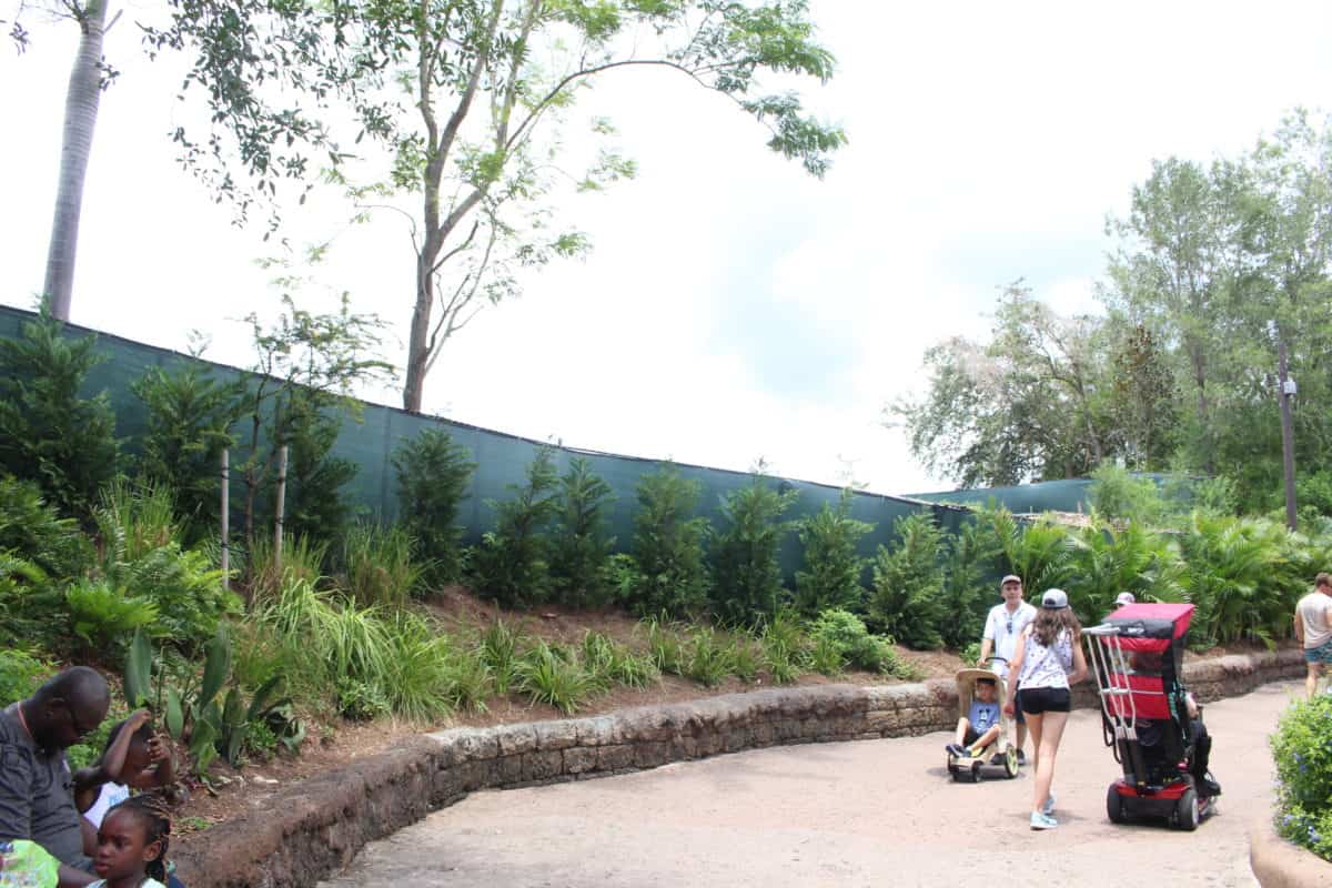 animal kingdom club 33