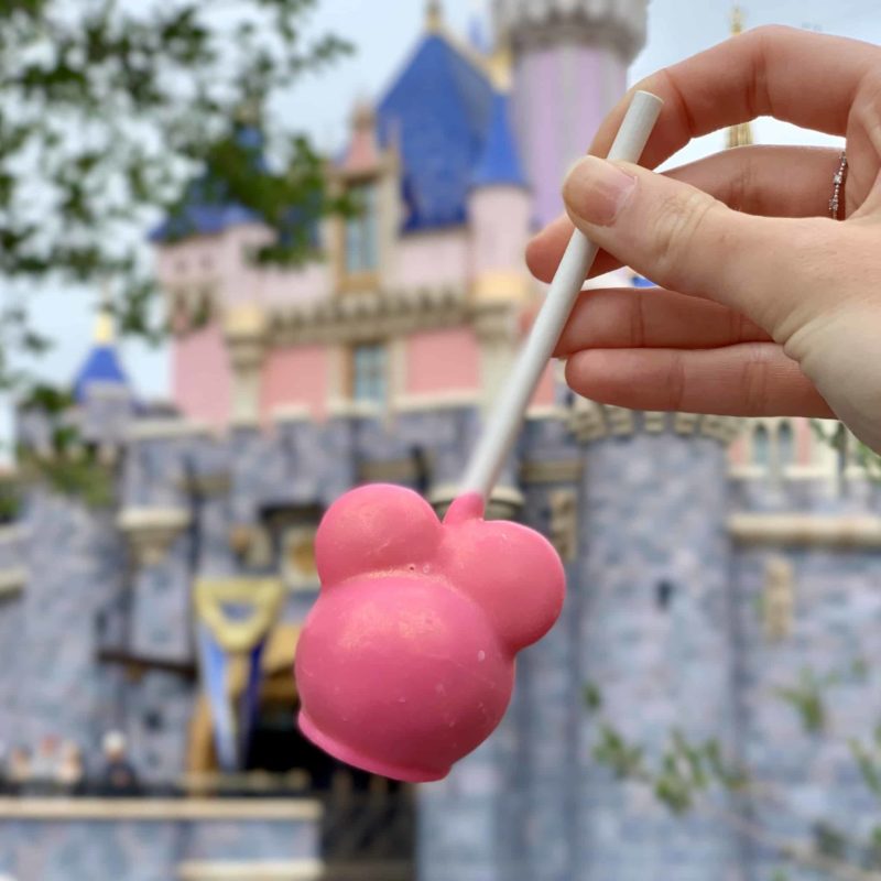 magination Pink Bubblegum Cake Pop Disneyland Resort