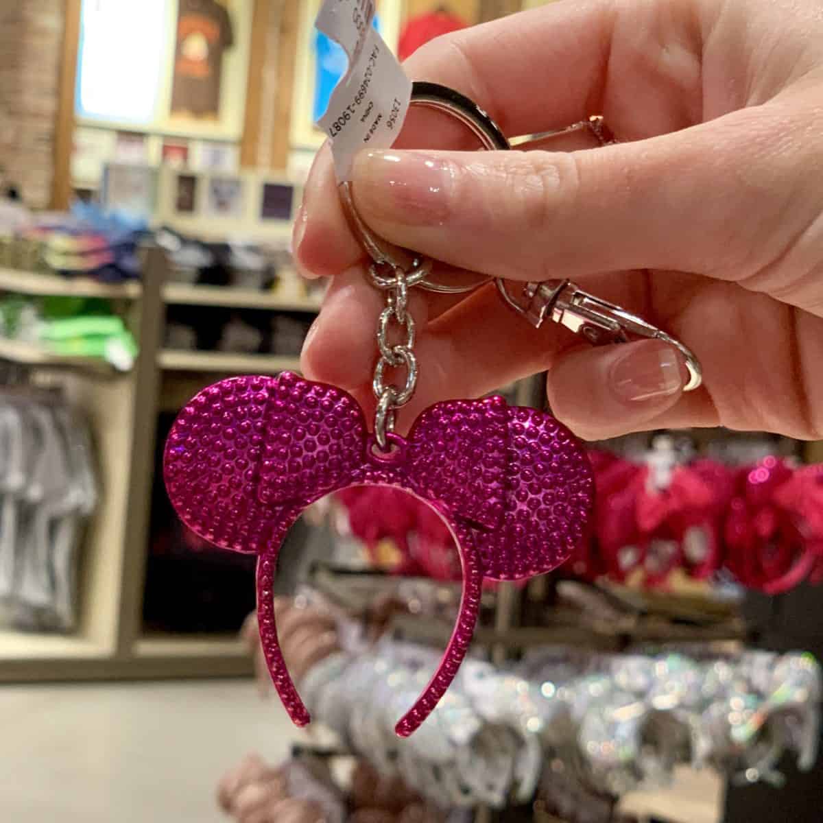 Imagination Pink Collection Disneyland Resort