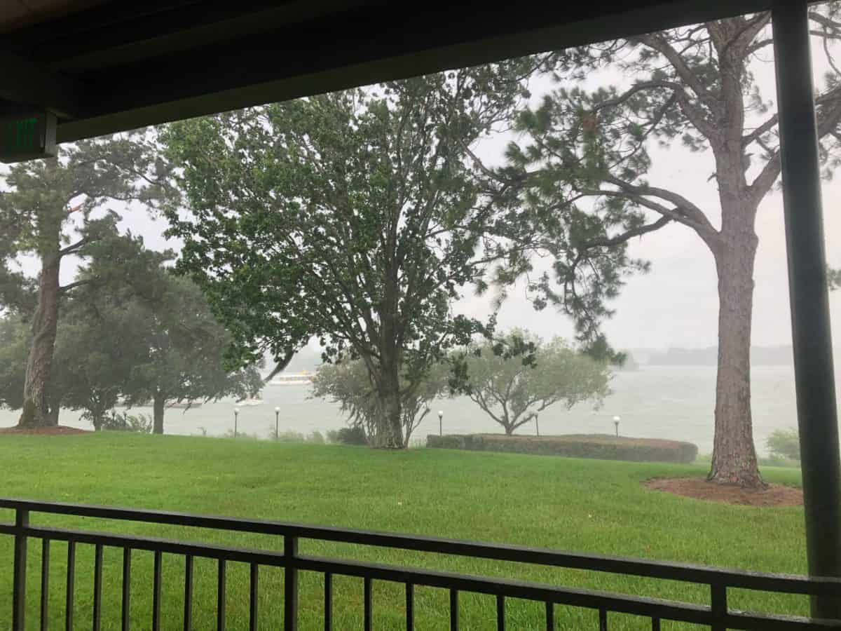 rain and trees blowing