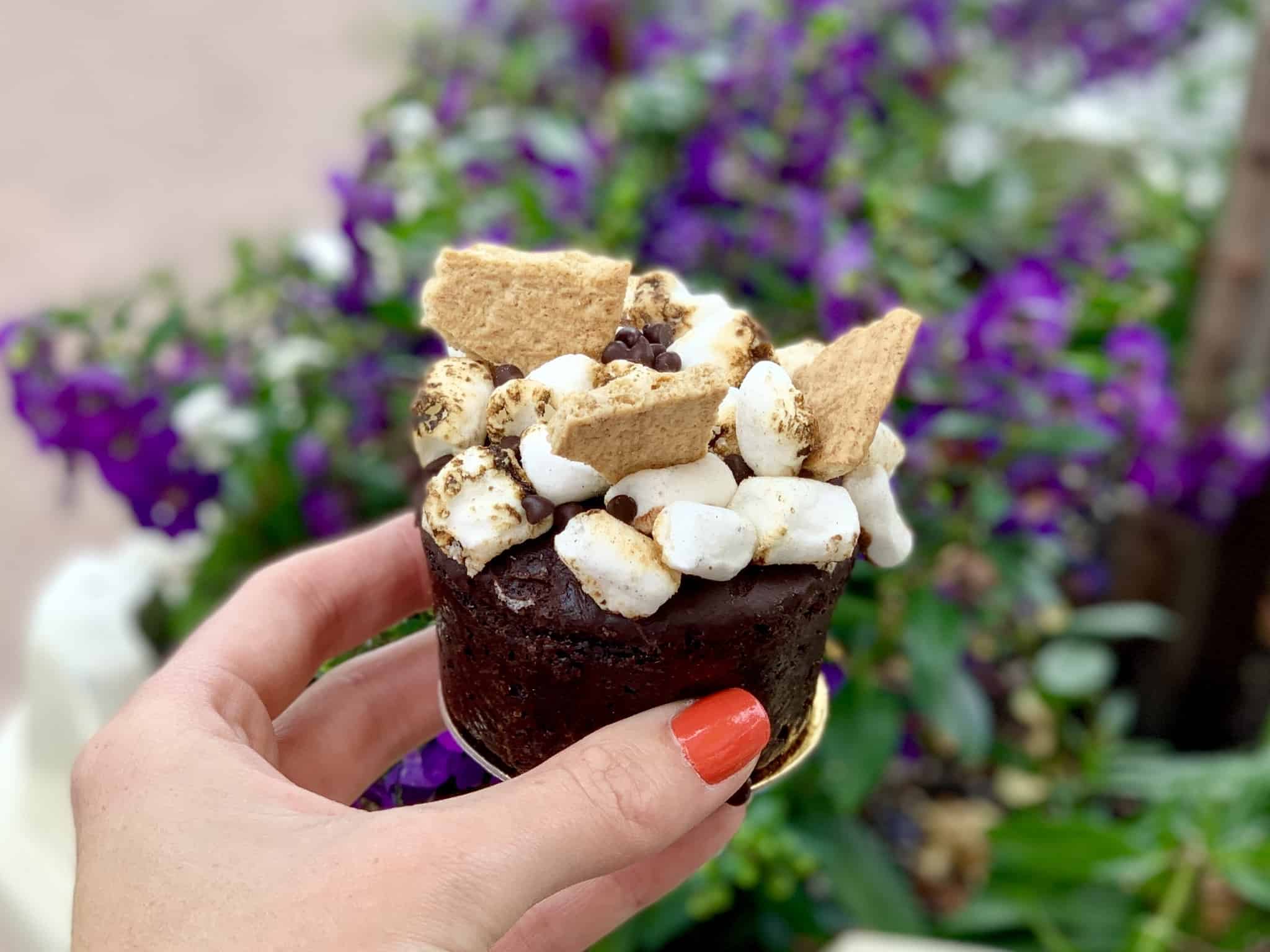 S'mores Brownie Jolly Holiday Bakery Disneyland Park