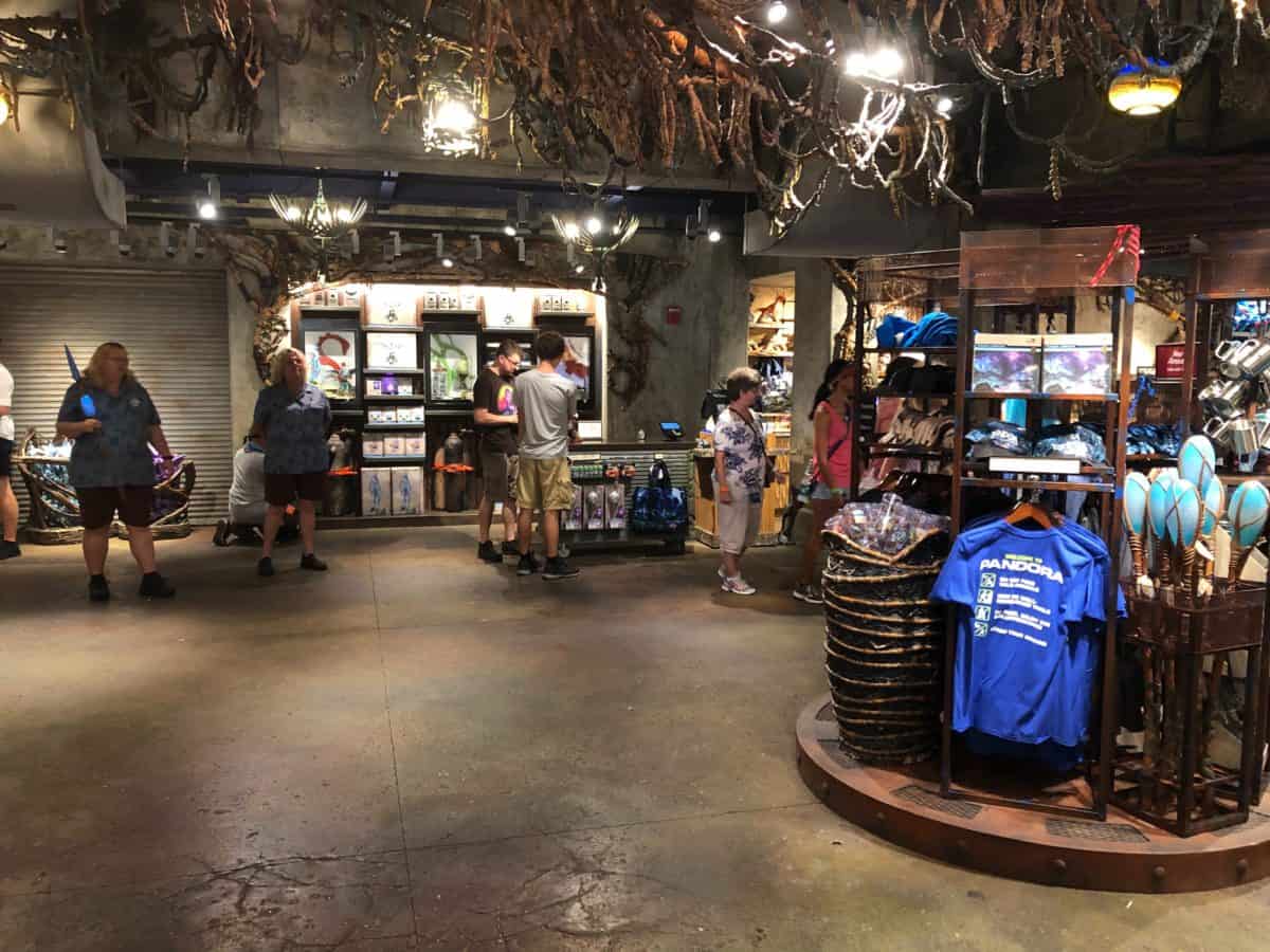 windtraders in pandora at animal kingdom with lots of space