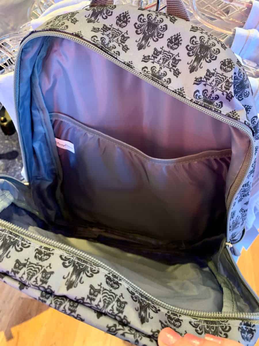 Disneyland Backpacks - $29.99