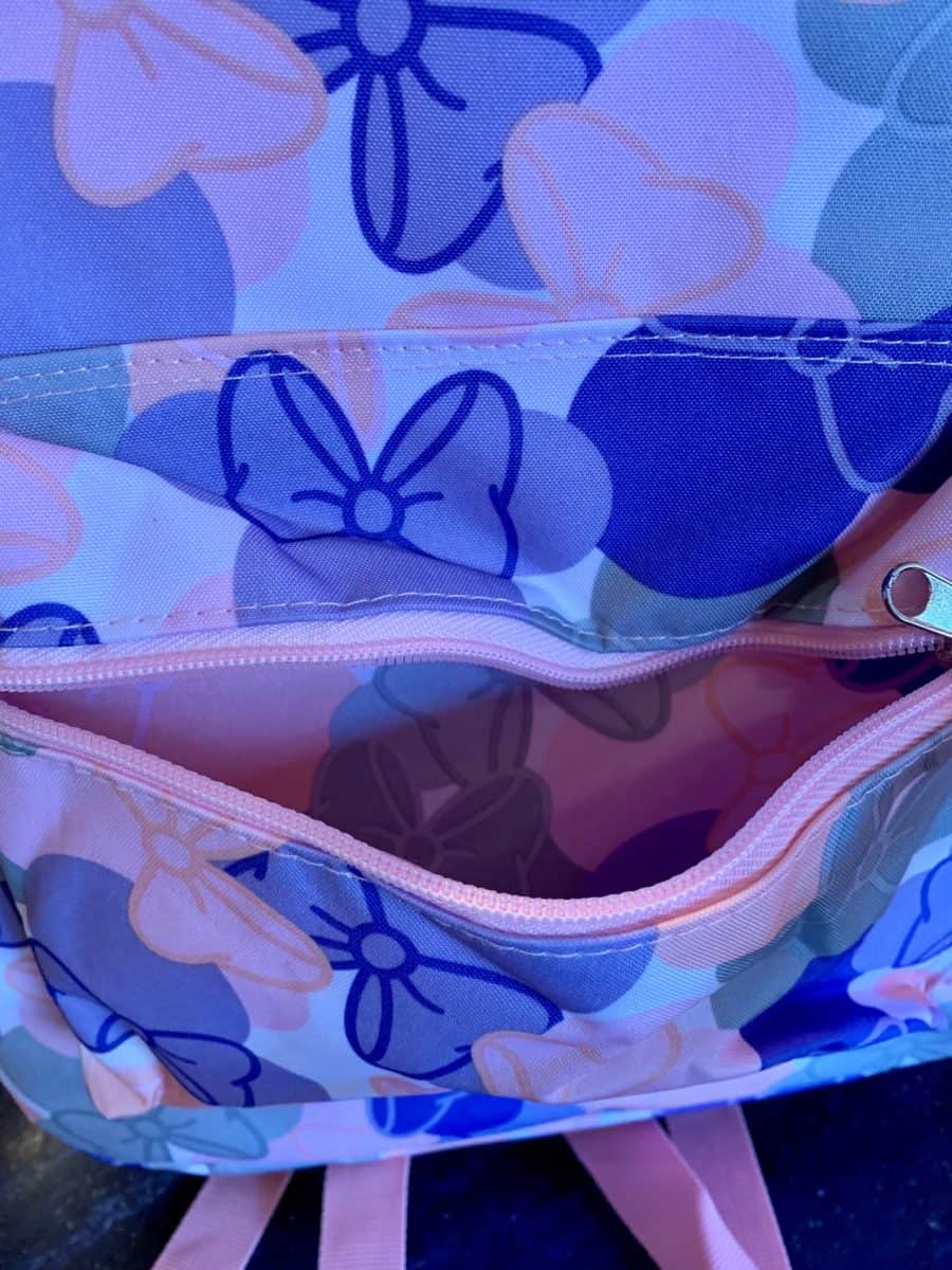 Disneyland Backpacks - $29.99