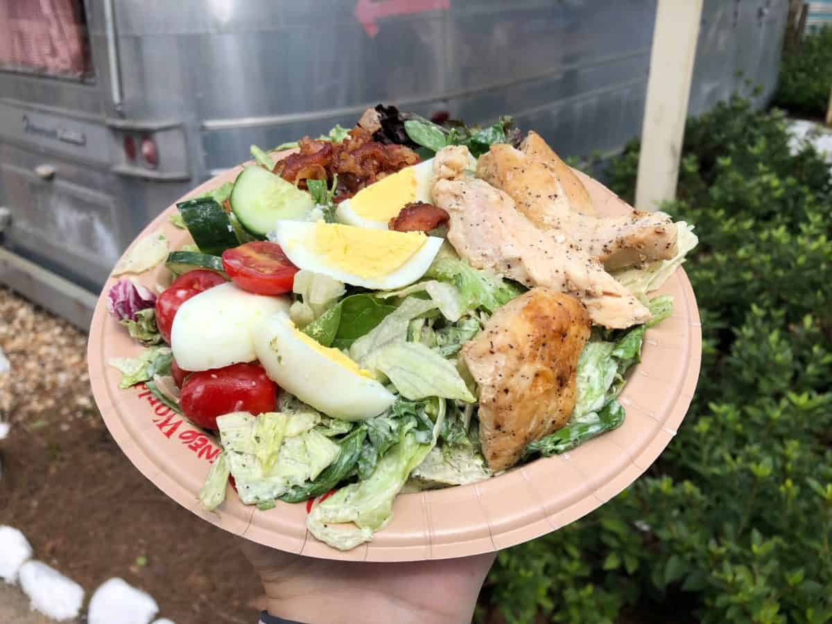 restaurantosaurus animal kingdom new plant based southwest burger salad june 2019