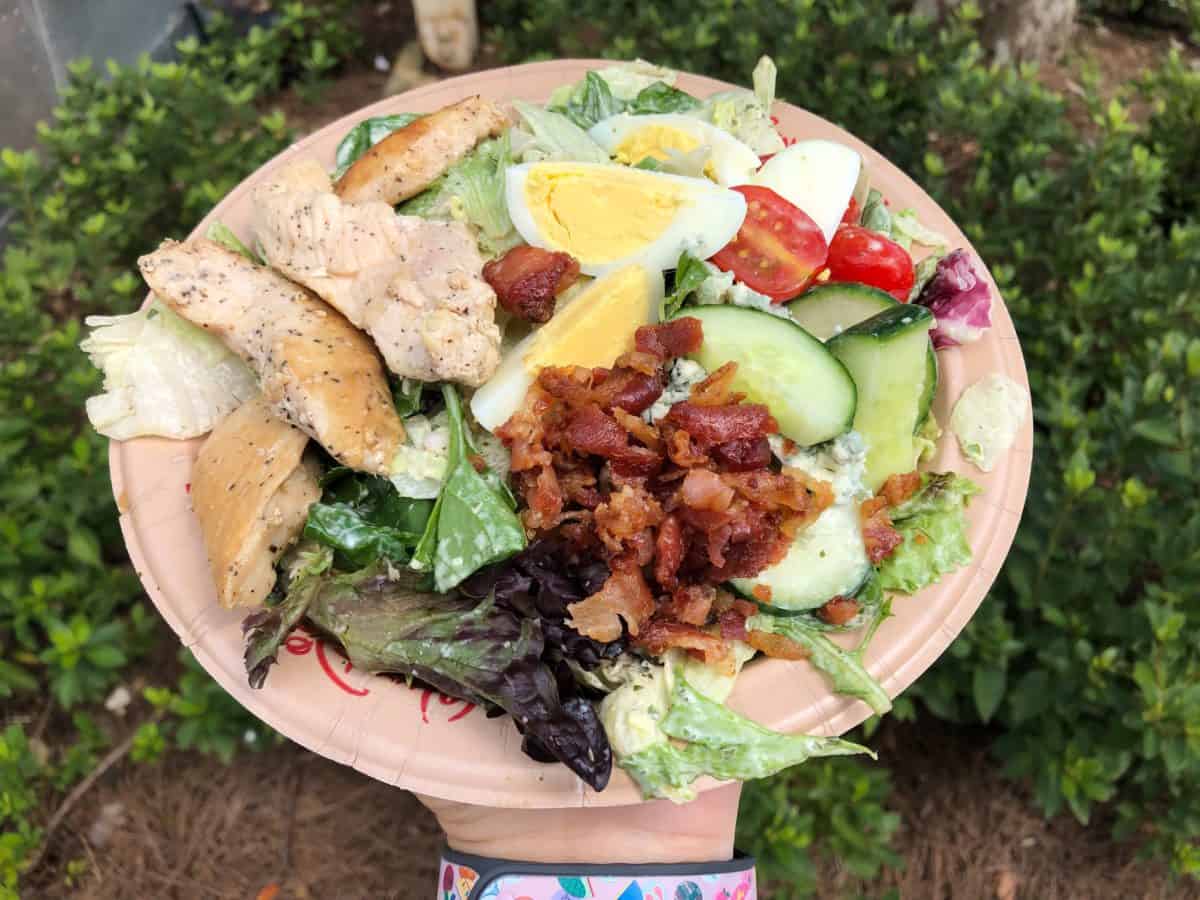 restaurantosaurus animal kingdom new plant based southwest burger salad june 2019
