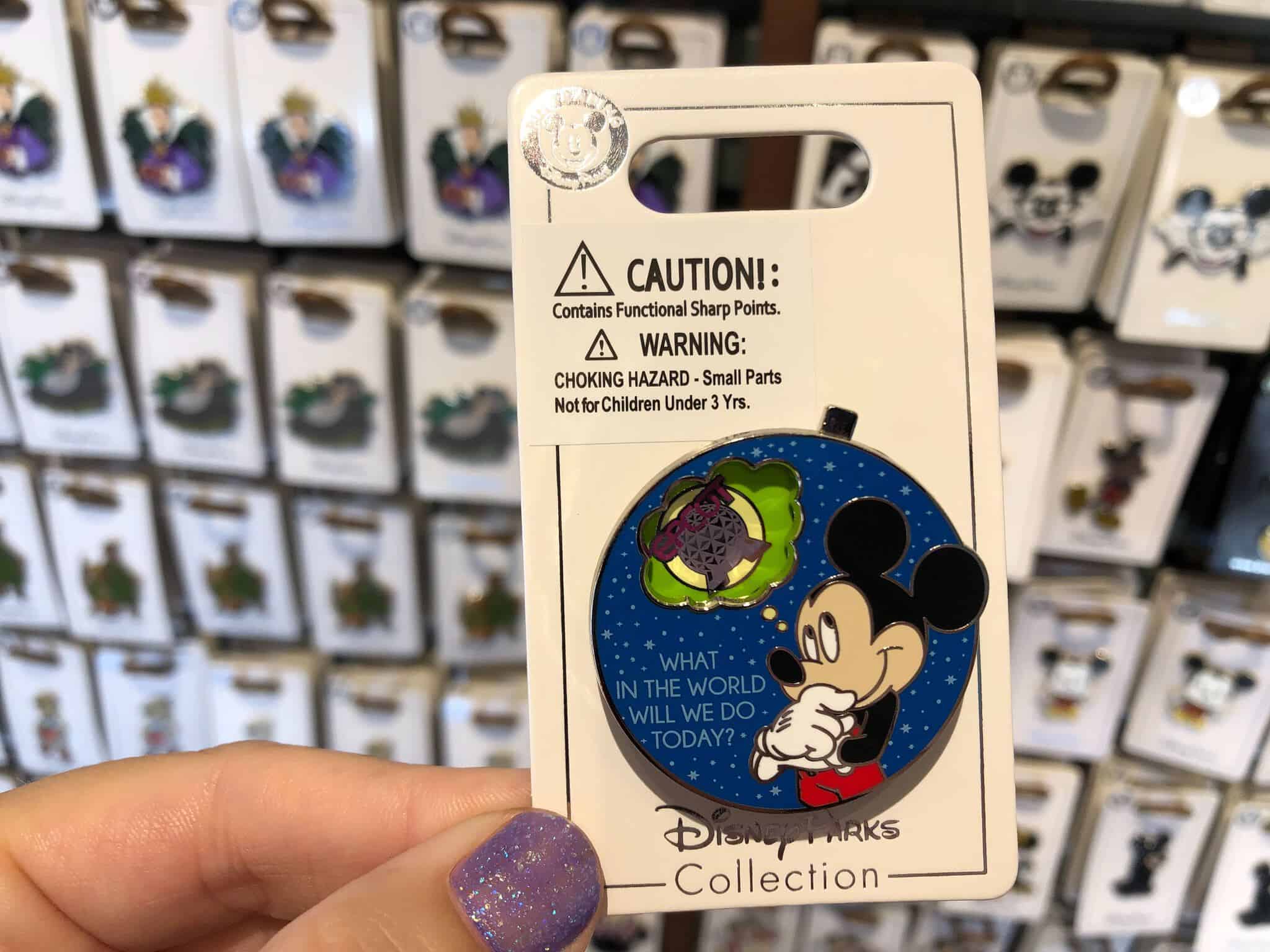 Four Parks Spinner Pin