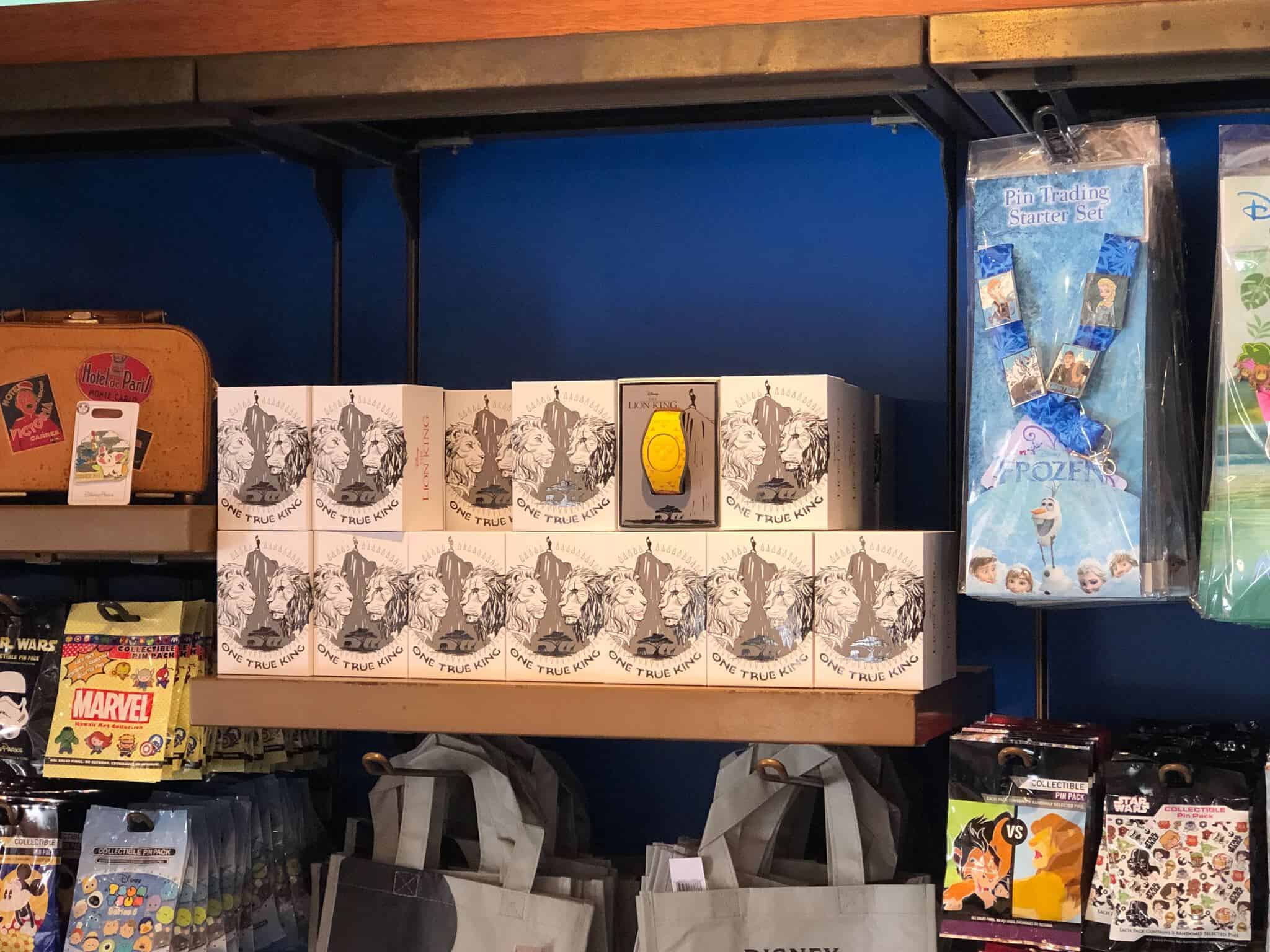 The Lion King MagicKingdom Live Action