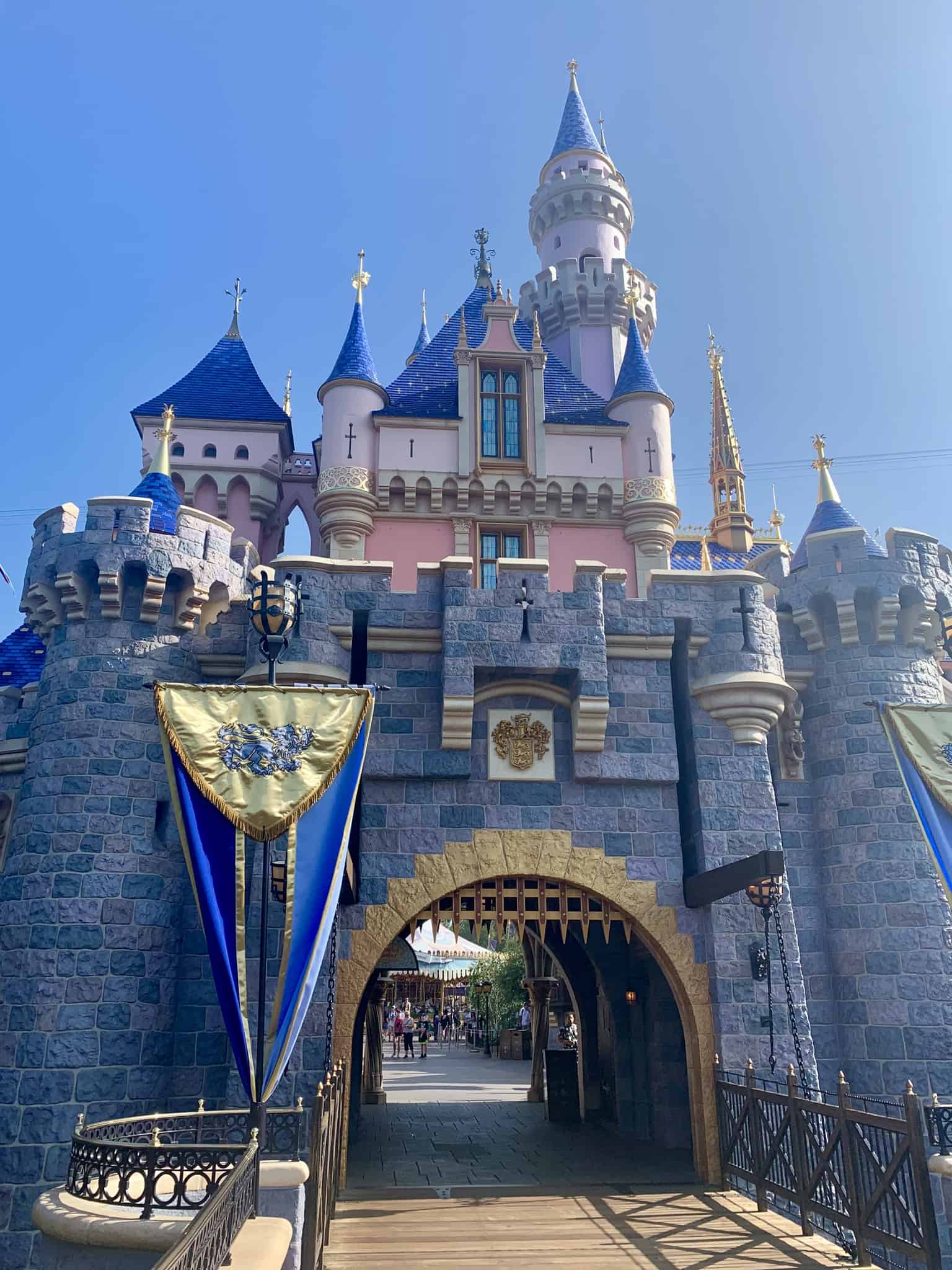 Disneyland Park Photo Report July 20 2019 Park Crowds, Buttons, and More 