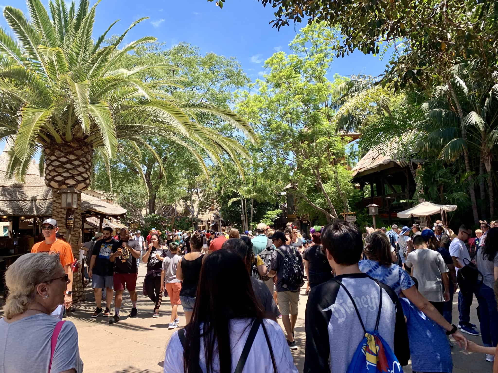 Disneyland Park Photo Report July 20 2019 Park Crowds, Buttons, and More