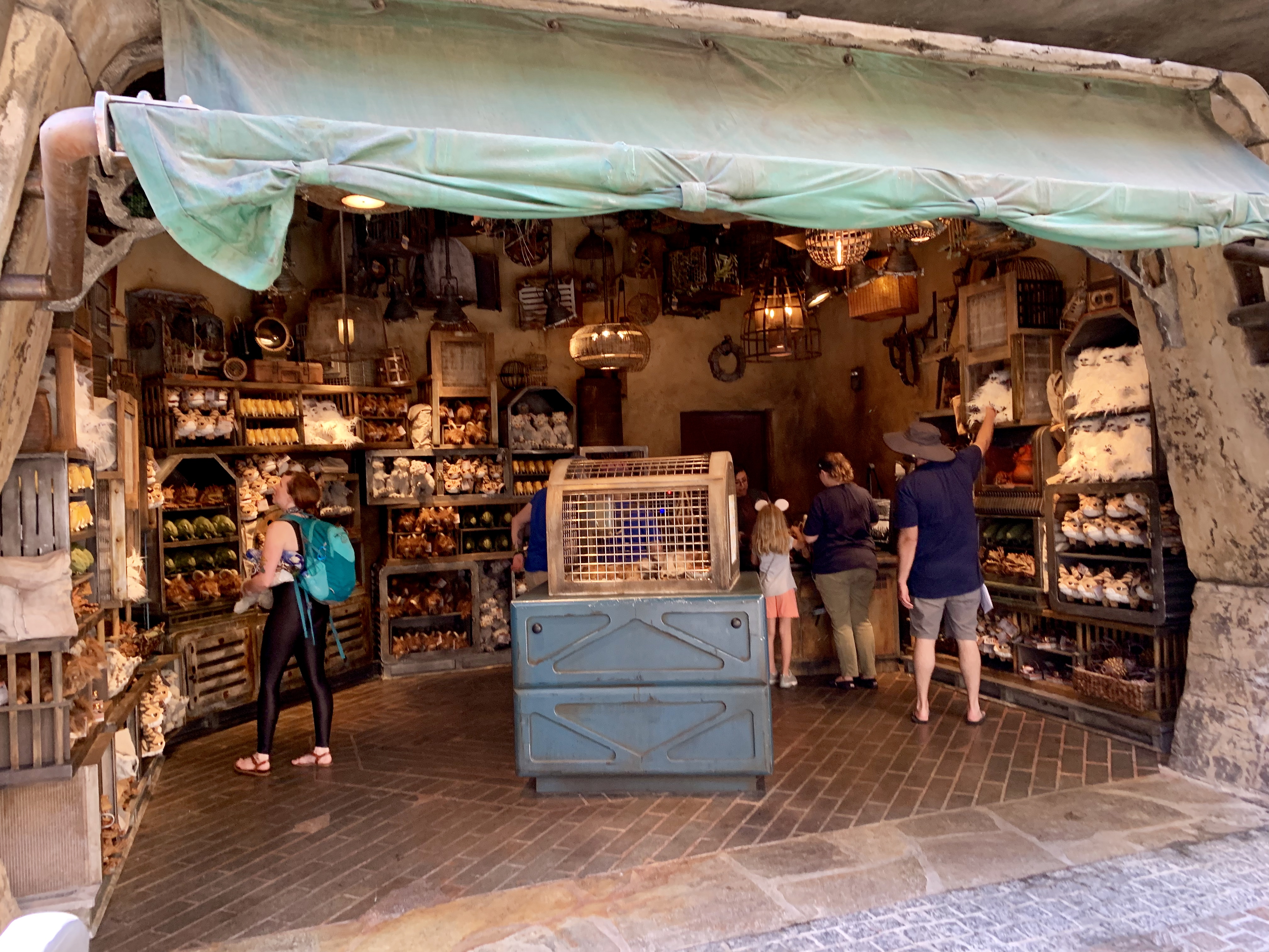 Disneyland Park Photo Report July 31 2019 Star Wars: Galaxy's Edge Crowds