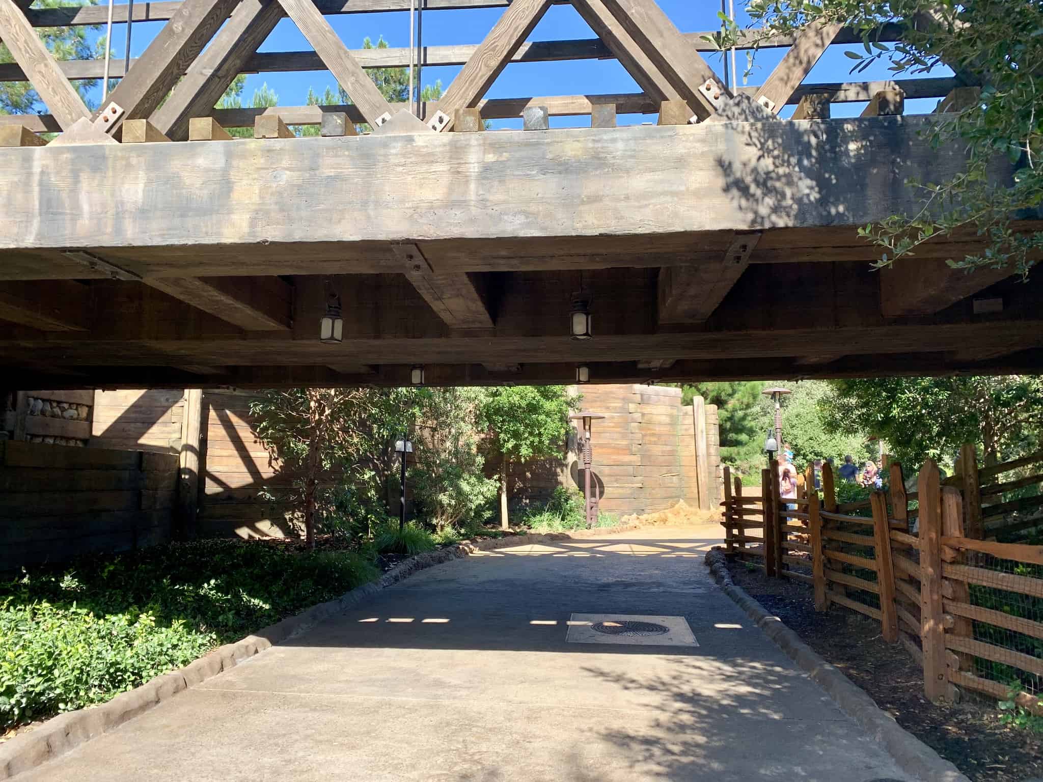 Disneyland Park Photo Report Summer Crowds July 9 2019