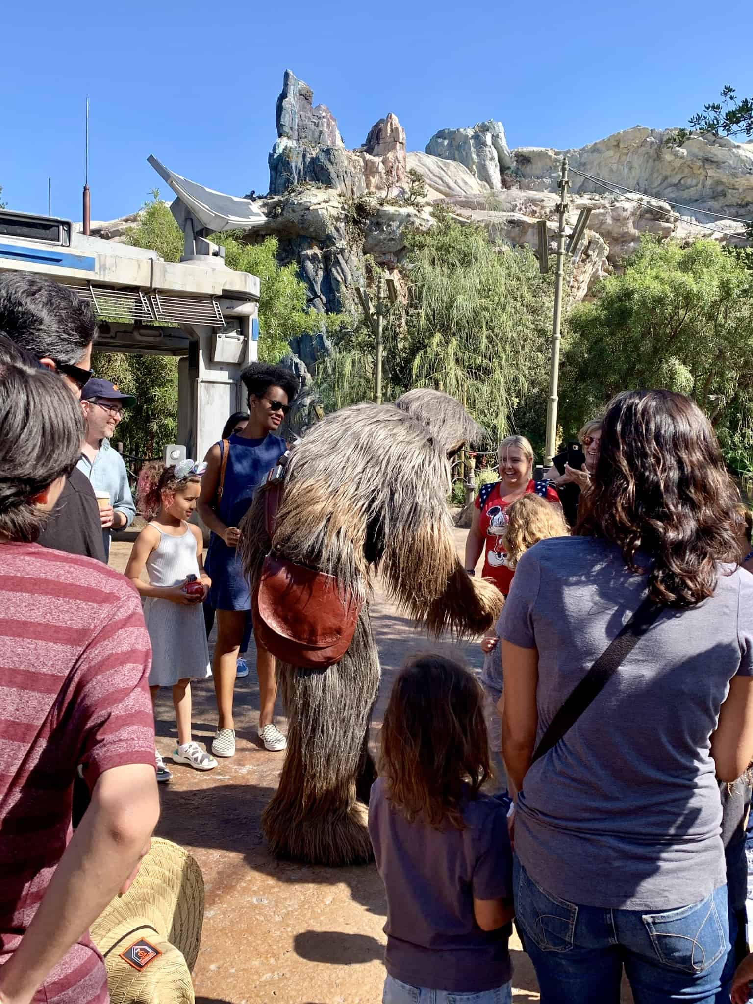 Disneyland Park Photo Report Summer Crowds July 9 2019