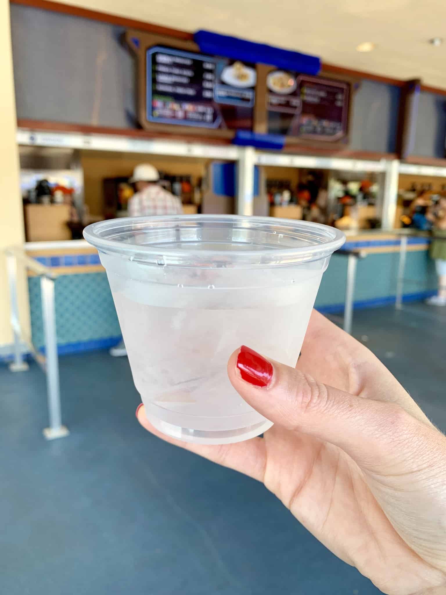 Disneyland Park Photo Report Summer Crowds July 9 2019