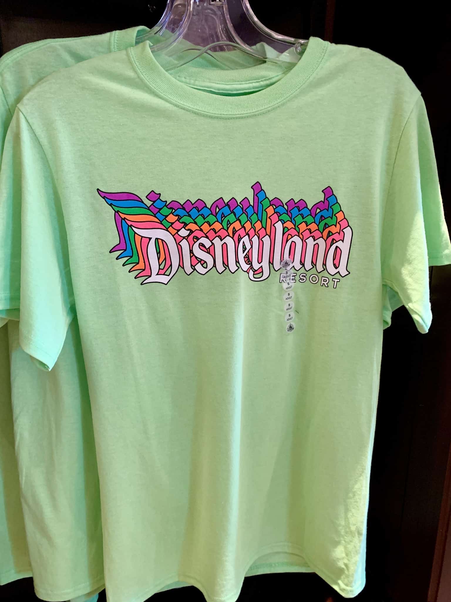 Disneyland Park Photo Report Summer Crowds July 9 2019