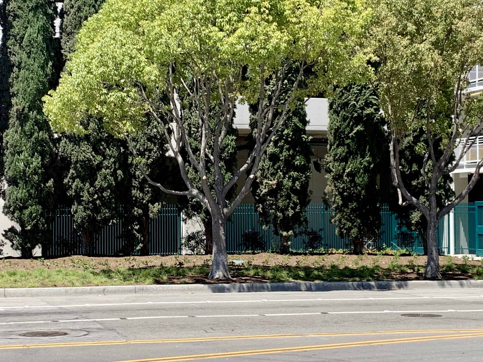 Downtown Disney District July 1 2019 Mickey and Friends Abstract Topiaries, Retro Disney Parks Collage Loungefly, and More