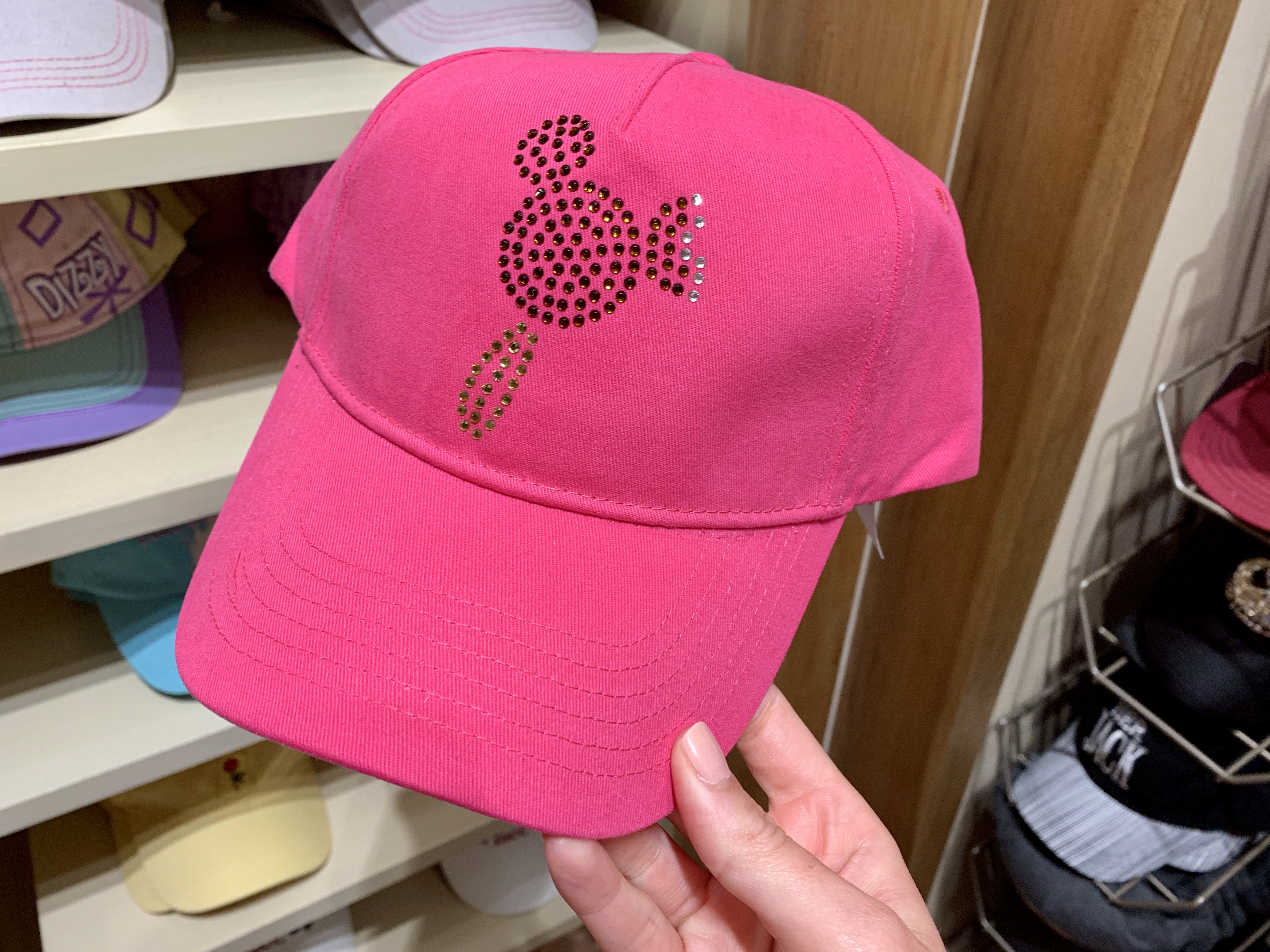 Downtown Disney Photo Report July 23