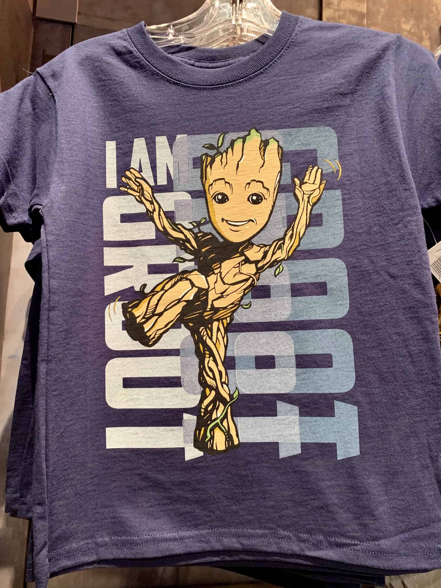 Groot Apparel The Collectors Warehouse Disney California Adventure