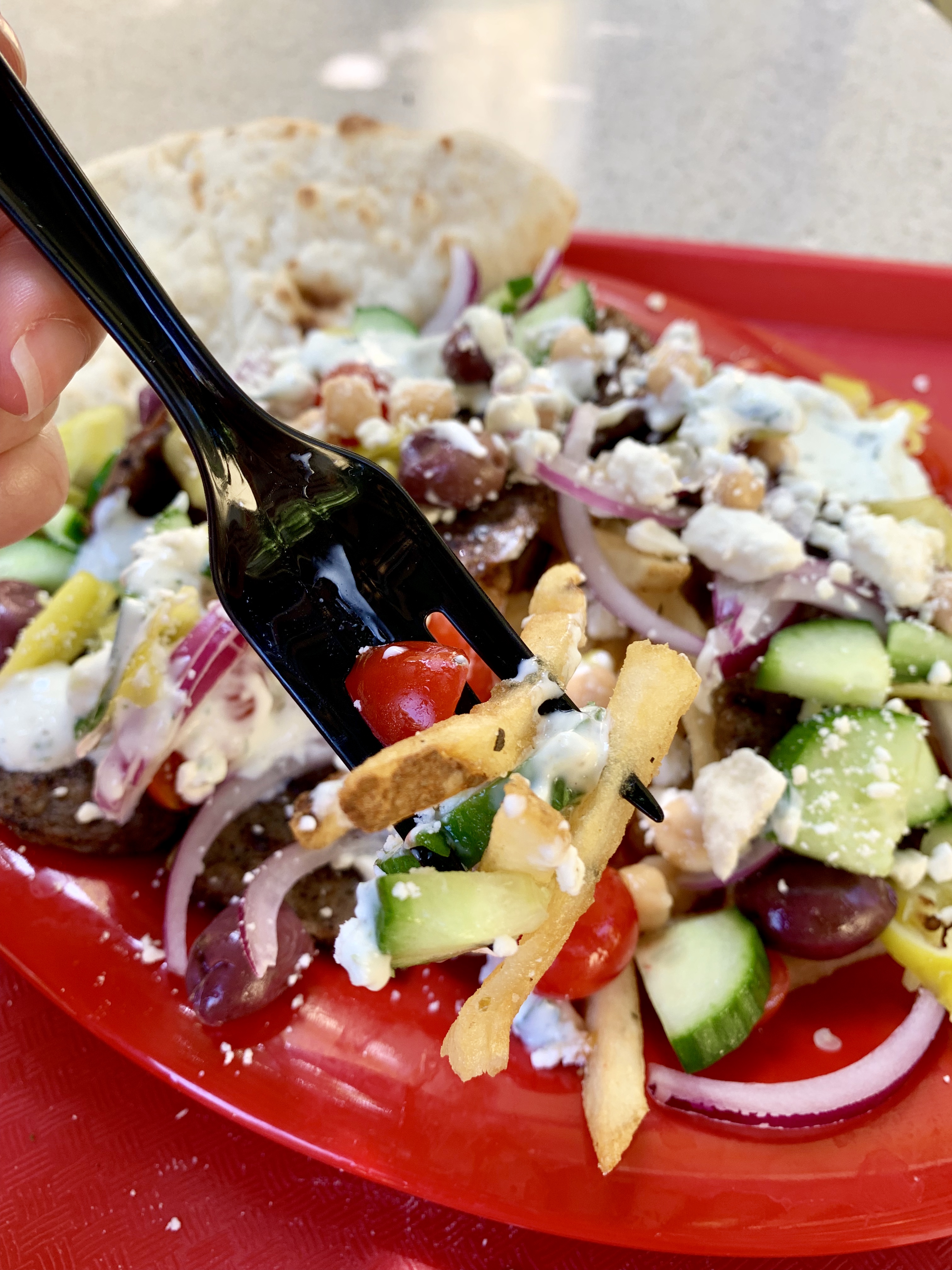 Gyro Fries Paradise Garden Grill Disney California Adventure