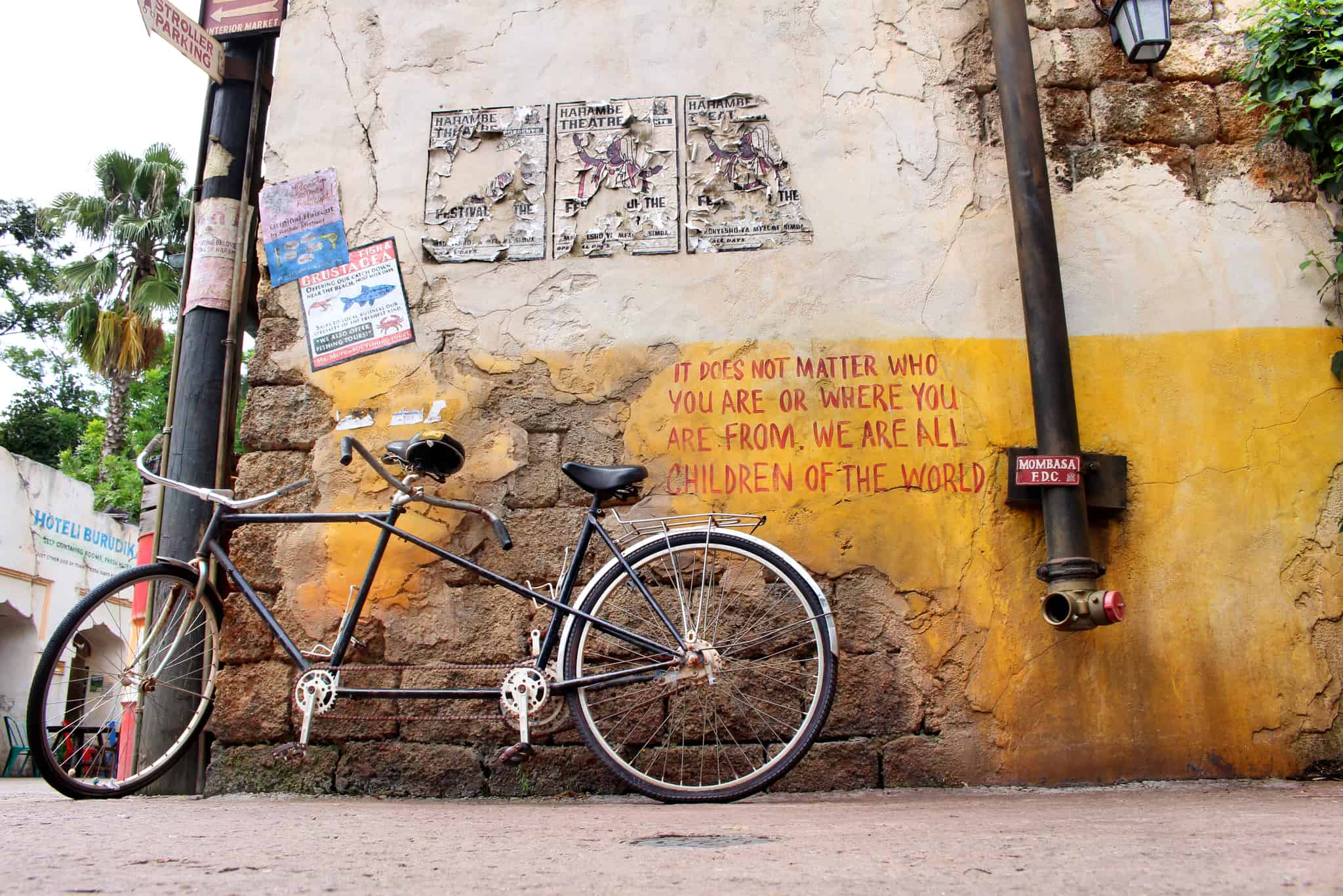 Disney's animal kingdom